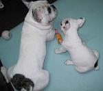     
: 2IMG_2175.jpg
: 33
:	95.0 
ID:	2175507