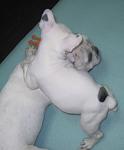     
: 22IMG_2174.jpg
: 73
:	58.3 
ID:	2175532