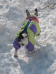     
: vIMG_2188.jpg
: 77
:	81.9 
ID:	2175536