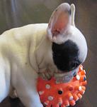     
: IMG_2152.jpg
: 41
:	96.0 
ID:	2175537