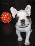     
: IMG_2149.jpg
: 78
:	64.5 
ID:	2175542