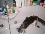     
: lichnoe 142.jpg
: 24
:	61.1 
ID:	217606