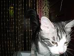     
: lichnoe 141.jpg
: 10
:	59.8 
ID:	217608