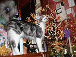     
: lichnoe 152.jpg
: 21
:	85.0 
ID:	217609