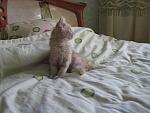     
: IMG_0999.jpg
: 51
:	100.2 
ID:	2176111