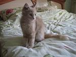     
: IMG_1001.jpg
: 61
:	101.6 
ID:	2176114