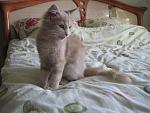    
: IMG_1002.jpg
: 57
:	106.5 
ID:	2176116