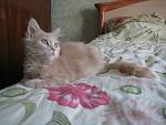     
: IMG_1003.jpg
: 58
:	94.8 
ID:	2176118