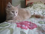     
: IMG_1004.jpg
: 67
:	110.7 
ID:	2176120
