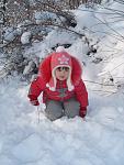     
: P1293523.jpg
: 37
:	107.5 
ID:	2176510