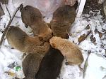     
: DSC01101.jpg
: 43
:	152.0 
ID:	2178613