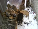     
: DSC01099.jpg
: 45
:	142.3 
ID:	2178614