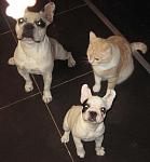     
: 1IMG_2233.jpg
: 34
:	101.8 
ID:	2179487