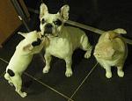     
: 1IMG_2232.jpg
: 33
:	145.5 
ID:	2179489