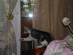     
: lichnoe 177.jpg
: 21
:	56.5 
ID:	218105