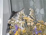     
: lichnoe 178.jpg
: 19
:	79.4 
ID:	218106