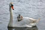     
: 130415_216541.jpg
: 13
:	62.3 
ID:	218115
