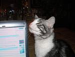     
: lichnoe 189.jpg
: 25
:	52.9 
ID:	218229