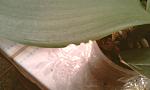     
: IMAG0658.jpg
: 33
:	67.2 
ID:	2184590
