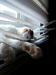     
: DSCF4040.jpg
: 60
:	169.5 
ID:	2185921