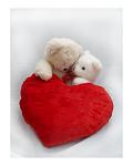    
: valentines-day-heart.jpg
: 5
:	24.0 
ID:	2189576