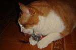     
: DSC02814.JPG
: 22
:	213.0 
ID:	2192002