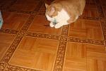     
: DSC02812.JPG
: 30
:	255.9 
ID:	2192003