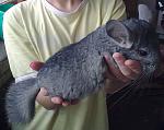     
: Фото0366.jpg
: 38
:	159.6 
ID:	2192961