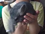     
: Фото0367.jpg
: 31
:	74.1 
ID:	2192967