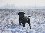     
: FSCN5148.jpg
: 45
:	148.4 
ID:	2194358