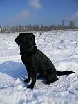     
: DSCN5140.jpg
: 45
:	82.3 
ID:	2194405