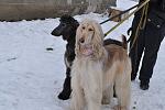     
: DSC_0435.jpg
: 23
:	111.3 
ID:	2194409