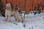     
: DSC_0473.jpg
: 18
:	103.3 
ID:	2194421