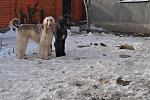     
: DSC_0510.jpg
: 14
:	141.0 
ID:	2194454