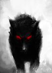     
: wolf_by_tamerr.jpeg
: 14
:	15.5 
ID:	2196058