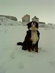     
: DSC00375.jpg
: 24
:	48.0 
ID:	2196737