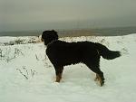     
: DSC00371.jpg
: 22
:	87.4 
ID:	2196739