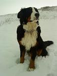     
: DSC00373.jpg
: 25
:	60.2 
ID:	2196742