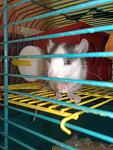     
: 030220115119.jpg
: 24
:	85.1 
ID:	2197779