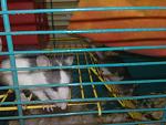     
: 030220115118.jpg
: 20
:	127.0 
ID:	2197785