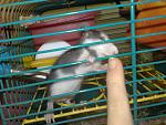     
: 030220115124.jpg
: 24
:	140.7 
ID:	2197795