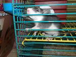     
: 030220115121.jpg
: 24
:	130.0 
ID:	2197796