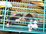     
: 030220115127.jpg
: 22
:	167.2 
ID:	2197803