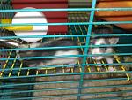     
: 030220115126.jpg
: 20
:	150.9 
ID:	2197804
