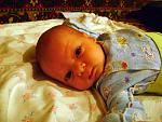     
: DSC01019.JPG
: 28
:	231.5 
ID:	2199125
