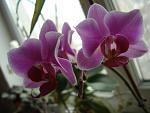     
: DSC02141.JPG
: 27
:	123.9 
ID:	2203887