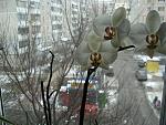     
: DSC02131.JPG
: 26
:	165.8 
ID:	2203888