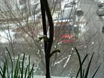     
: DSC02137.JPG
: 22
:	173.5 
ID:	2203889
