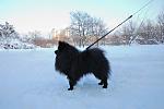     
: DSC_8665.jpg
: 40
:	234.2 
ID:	2208543