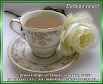     
: 0_2766c_937f81ce_L.jpg
: 9
:	80.3 
ID:	2208818